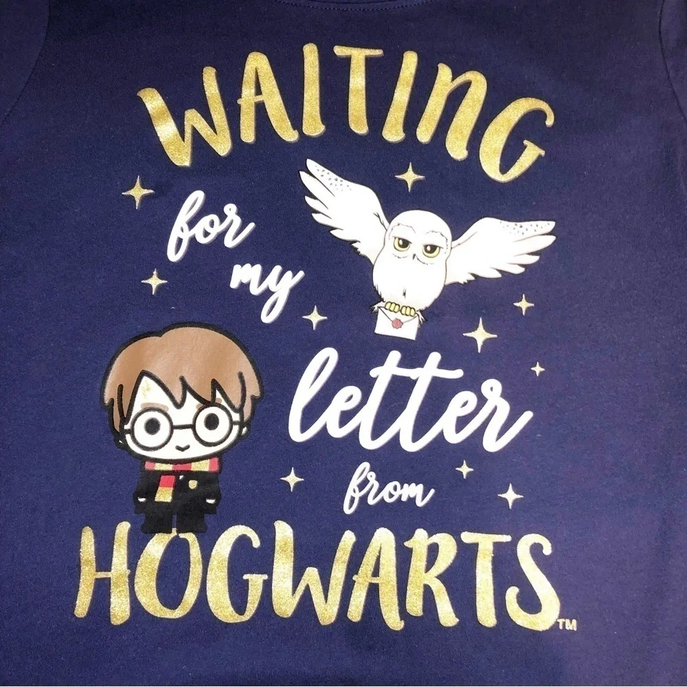 Wizarding World of Harry Potter Blue Long Sleeve Shirt Size XXL ( 18 Kids)